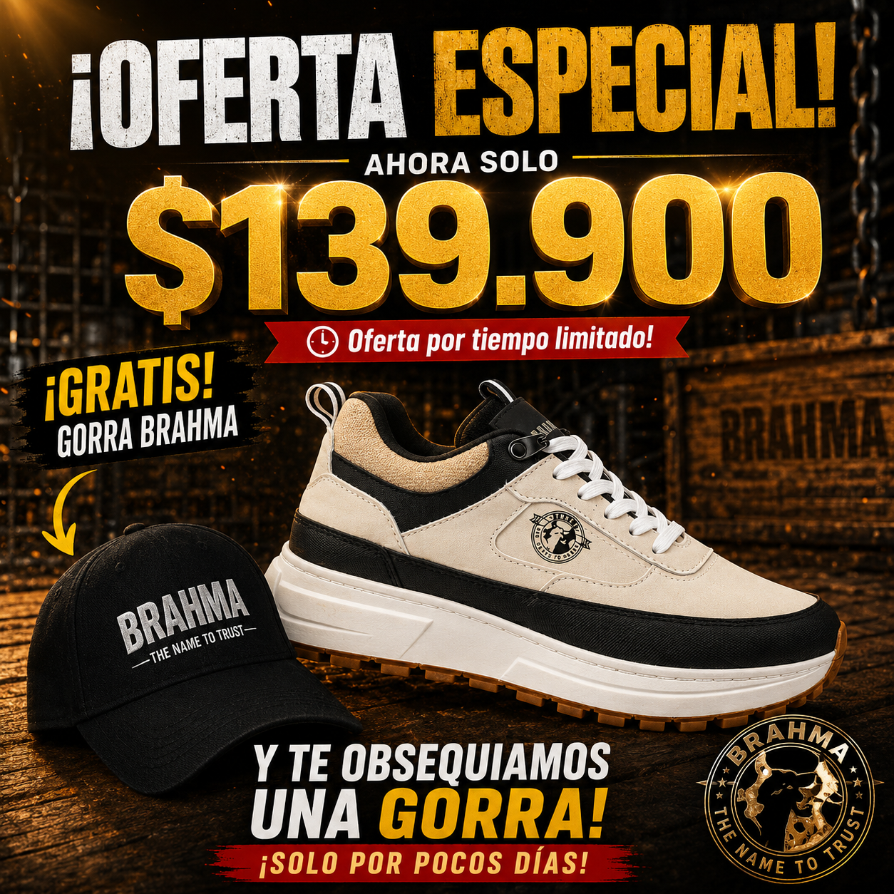 PROMO Zapatos Brahma Style